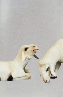 Pecore per Natività di cm 80